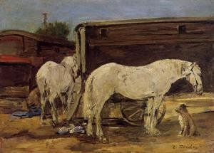 Gypsy Horses c.1885-90