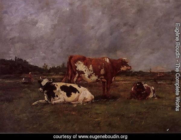 Cows in Pasture