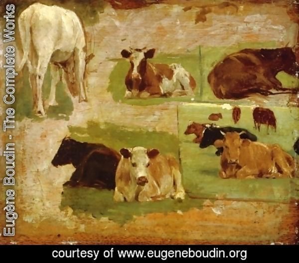 Eugène Boudin - Study of Cows c.1860