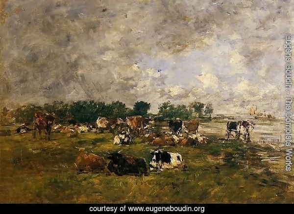 Cows in the Fields